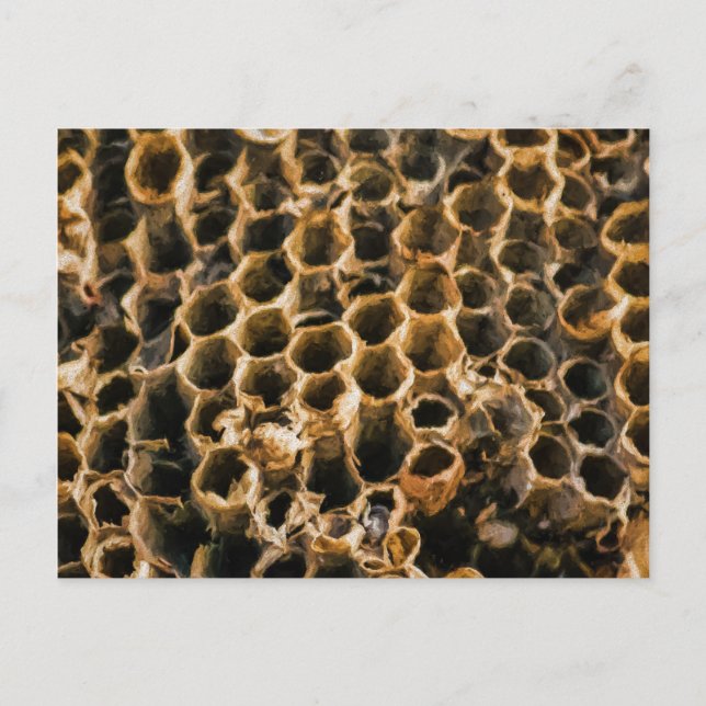 Empty Nest Postkarte (Vorderseite)