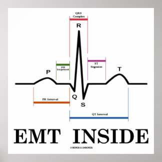EMT Inside (Sinusrhythmus-Elektrokardiogramm) Poster