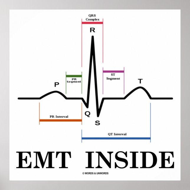 EMT Inside (Sinusrhythmus-Elektrokardiogramm) Poster (Vorne)