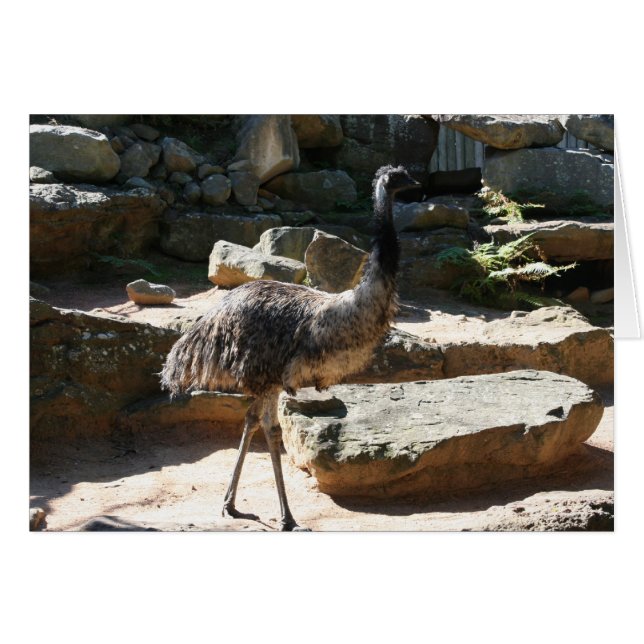 Emu (Vorderseite (Horizontal))