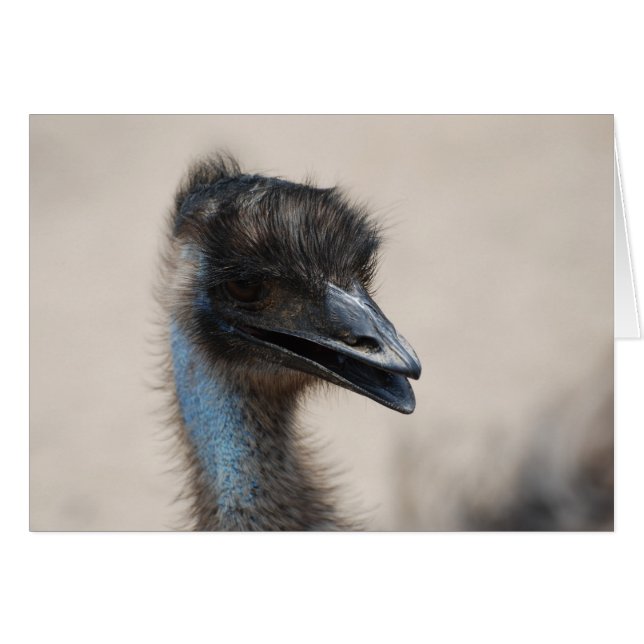 Emu (Vorderseite (Horizontal))