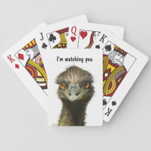 Emu beobachtet Sie Spielkarten