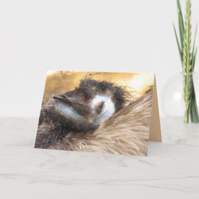 Emu Bird Grußkarte Karte (Vorderseite)