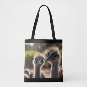 Emu Birds