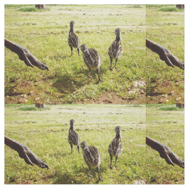 Emu Chicks mit Emu Big Foot, Stoff (Nahaufnahme)