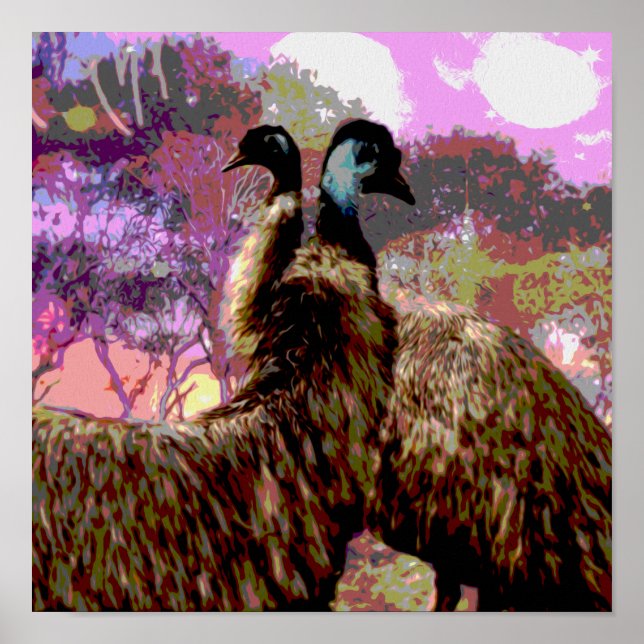 Emu Courship Watercolor, Poster (Vorne)