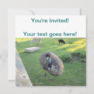 Emu Einladung