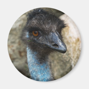 Emu-Hauptmagnet Magnet