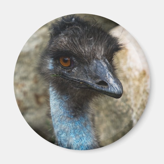 Emu Head Magnet (Vorne)