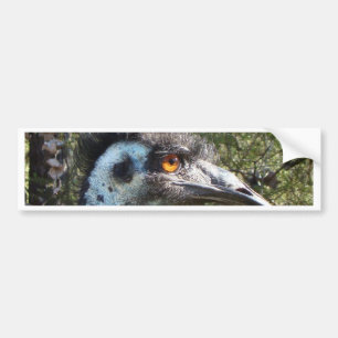 Emu in Australien Autoaufkleber