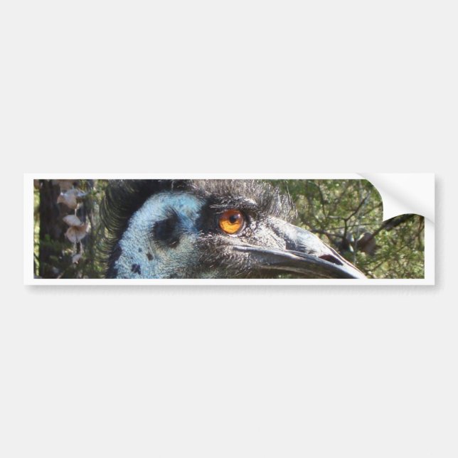 Emu in Australien Autoaufkleber (Vorne)