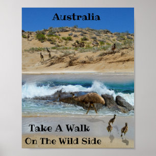 Emu Island Australia, Poster