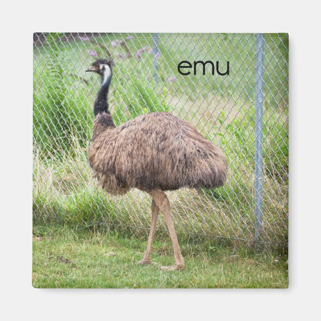 Emu Kühlschrank Magnet (Vorne)