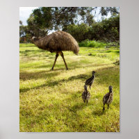 Emu mit Nachbar-Uhr, Poster