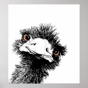 Emu - Pen und Ink Poster