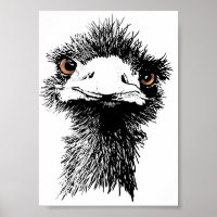 Emu