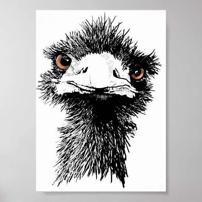 Emu Poster (Vorne)
