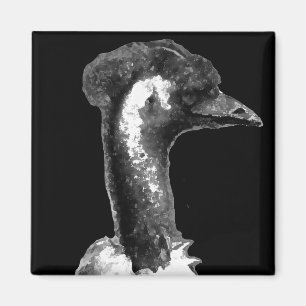 Emu-Profil Magnet