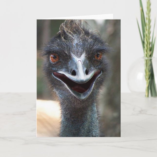 Emu-Sprichwort HI! Öffnen Sie großes braunes Karte (Vorderseite)