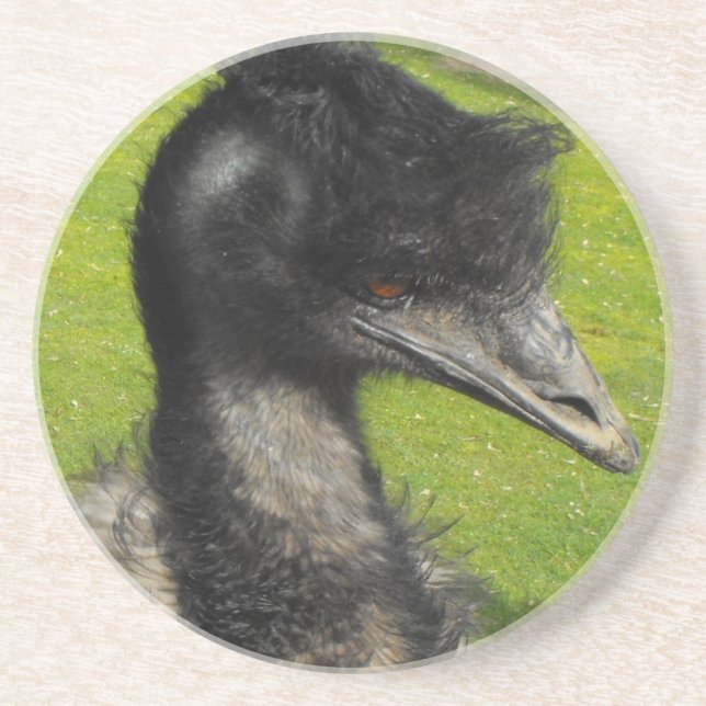 Emu-Untersetzer Sandstein Untersetzer (Vorne)