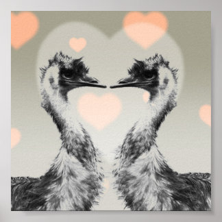 Emus in der Liebe Poster