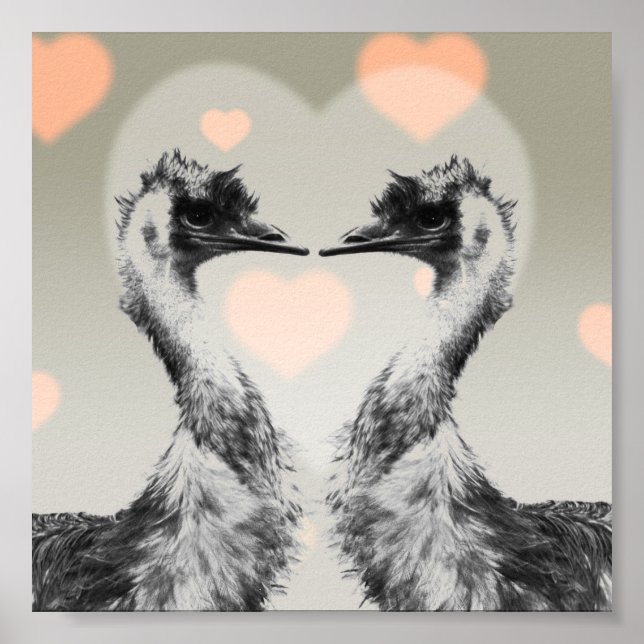 Emus in der Liebe Poster (Vorne)
