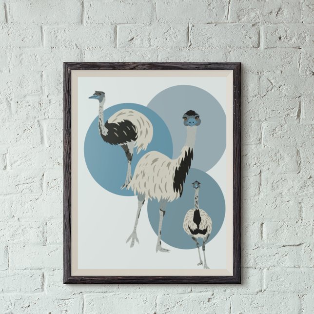 Emus und Blue Circles Moderner Stil Poster (Von Creator hochgeladen)