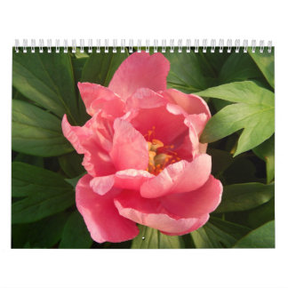 En-Farbe Calendario Betrug fotografía Des Flores Kalender