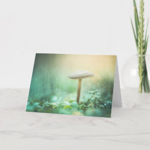 Enchanted Mushroom Nature Photo Karte