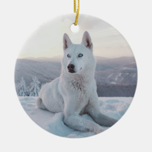 Enchanting White Husky Dog in the snow Keramik Ornament