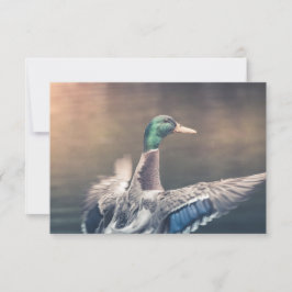 Enck Nature Foto Card