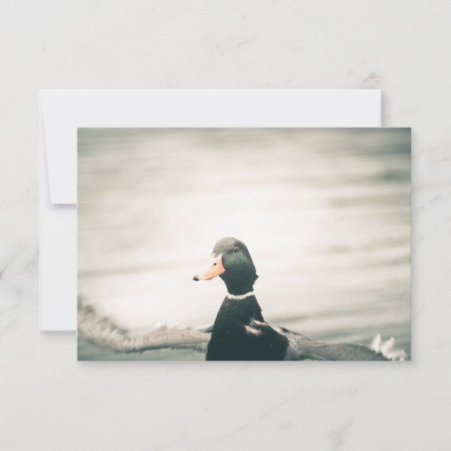 Enck Nature Foto Card (Vorderseite)