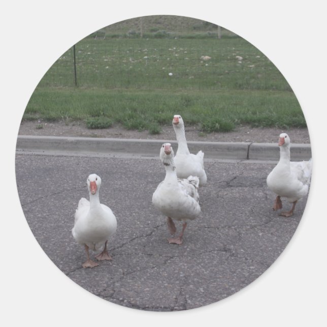 Enck Stickers (Vorderseite)