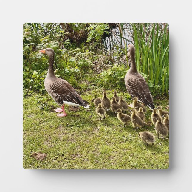 Enck's Leben.. Fotoplatte (Vorderseite)