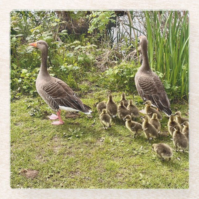 Enck's Leben.. Glasuntersetzer (Vorderseite)