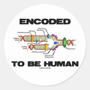 Encoded to be human (DNA-Replikation) Runder Aufkleber