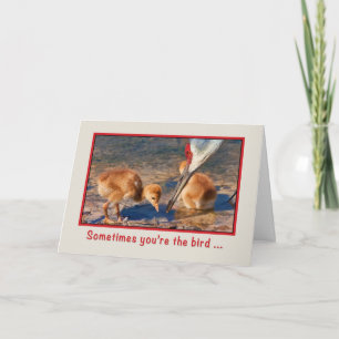 Encouragement, Baby Birds and Worm Karte