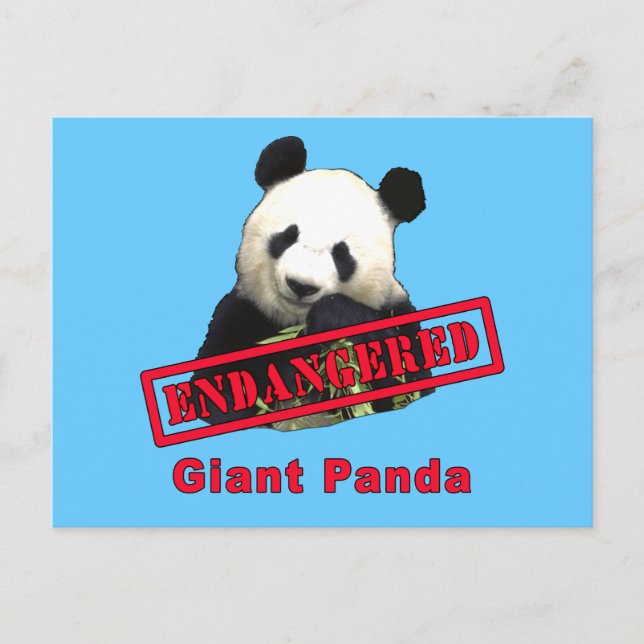 ENDANGERED Giant Panda Postkarte (Vorderseite)