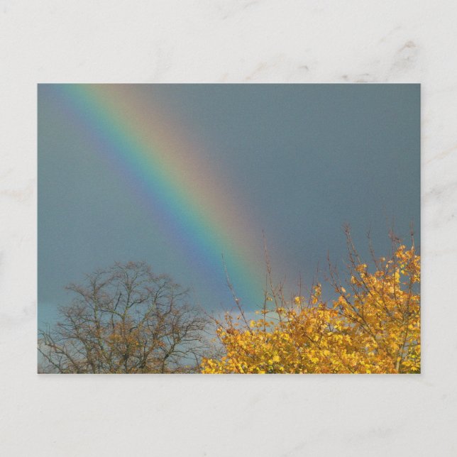 Ende des Regenbogens Postkarte (Vorderseite)