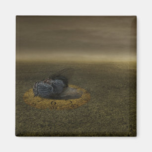 Ende eines Ziels 2013 Magnet