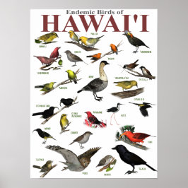 Endemische Vögel auf Hawai'i Poster