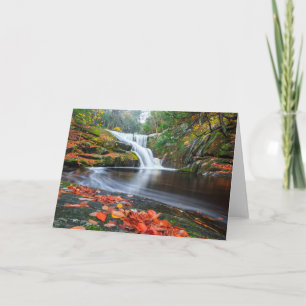 Enders Fälle in Fall Karte