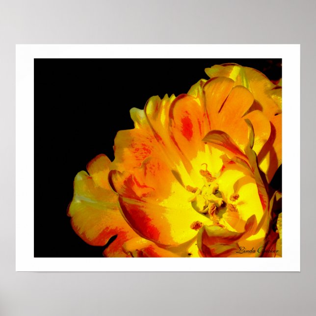 Endlose Liebe von Linda Becker Poster (Vorne)