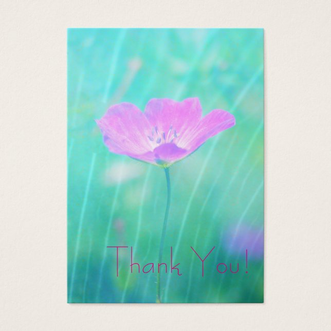 endloser Sommer (Vorderseite)