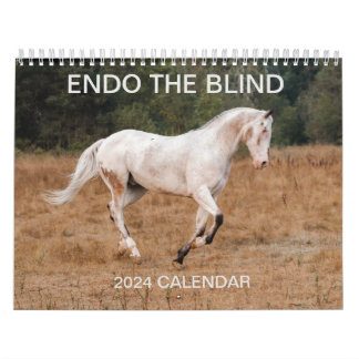 ENDO THE BLIND - 2024 Calendar Kalender