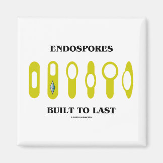 Endospores, bis zuletzt gebaut (bakterielle Einste Magnet
