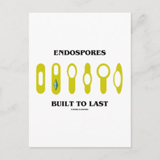 Endospores, bis zuletzt gebaut (bakterielle Einste Postkarte