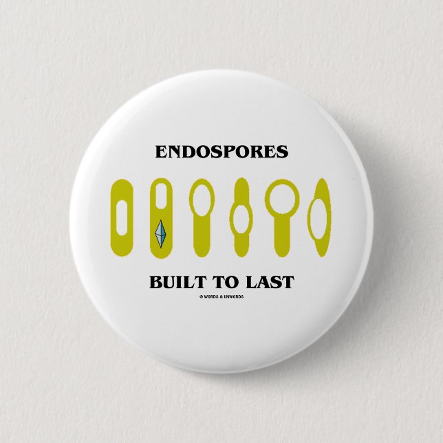 Endospores errichtete zum Letzten (bakterielle Button (Vorderseite)