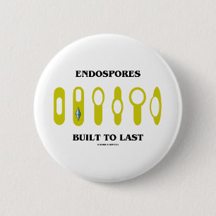 Endospores errichtete zum Letzten (bakterielle Button