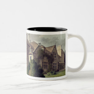 Endsleigh, von Ackermanns "Behälter von Künsten" Zweifarbige Tasse